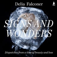 Signs and Wonders - Delia Falconer - audiobook