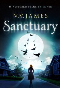 Sanctuary - V.V. James - ebook