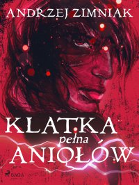 Klatka pełna aniołów - Andrzej Zimniak - ebook