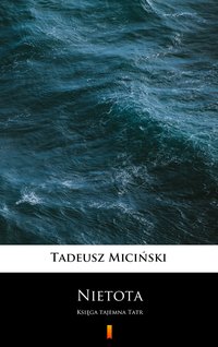 Nietota - Tadeusz Miciński - ebook