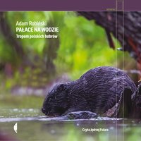 Pałace na wodzie - Adam Robiński - audiobook