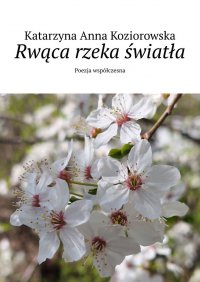 Rwąca rzeka światła - Katarzyna Koziorowska - ebook
