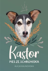 Kastor - Alicja Kalinowska - ebook