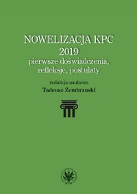 Nowelizacja KPC 2019 - Tadeusz Zembrzuski - ebook