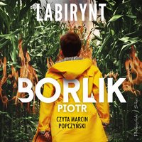 Labirynt - Piotr Borlik - audiobook