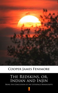 The Redskins, or, Indian and Injin - James Fenimore Cooper - ebook