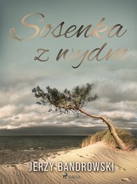 Sosenka z wydm - Jerzy Bandrowski - ebook