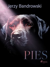 Pies - Jerzy Bandrowski - ebook