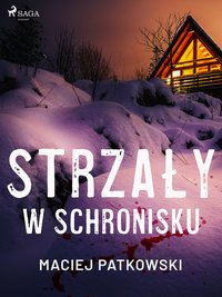 Strzały w schronisku - Maciej Patkowski - ebook