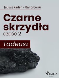 Czarne skrzydła 2 - Tadeusz - Juliusz Kaden-Bandrowski - ebook