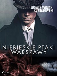 Niebieskie Ptaki Warszawy - Ludwik Marian Kurnatowski - ebook