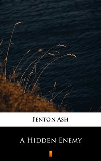 A Hidden Enemy - Fenton Ash - ebook