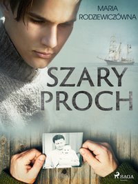 Szary proch - Maria Rodziewiczówna - ebook