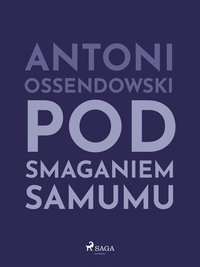Pod smaganiem samumu - Antoni Ossendowski - ebook