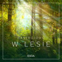 Nastrojowo - W lesie - Rasmus Broe - audiobook