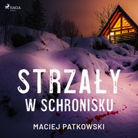 Strzały w schronisku - Maciej Patkowski - audiobook