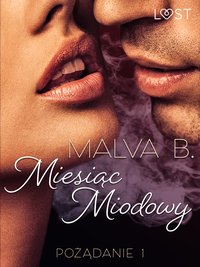Pożądanie 1: Miesiąc miodowy - opowiadanie erotyczne - Malva B - ebook