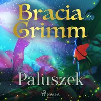 Paluszek - Bracia Grimm - audiobook