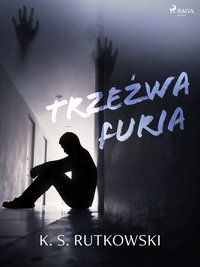 Trzeźwa furia - K. S. Rutkowski - ebook