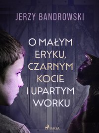 O małym Eryku, czarnym kocie i upartym worku - Jerzy Bandrowski - ebook