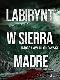 Labirynt w Sierra Madre - Jarosław Klonowski - ebook