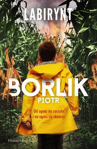 Labirynt - Piotr Borlik - ebook