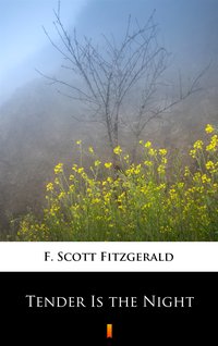 Tender Is the Night - F. Scott Fitzgerald - ebook