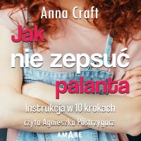 Jak nie zepsuć palanta - Anna Craft - audiobook