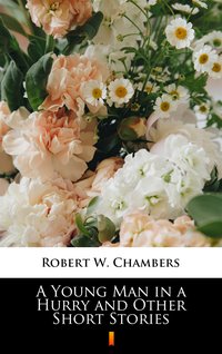 A Young Man in a Hurry and Other Short Stories - Robert W. Chambers - ebook