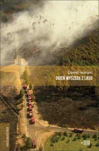 Ogień wyszedł z lasu - Dawid Iwaniec - ebook