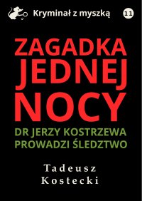 Zagadka jednej nocy - Tadeusz Kostecki - ebook
