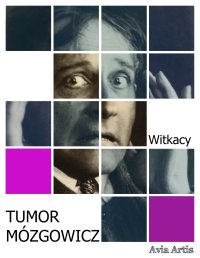 Tumor Mózgowicz - Stanisław Ignacy Witkiewicz - ebook