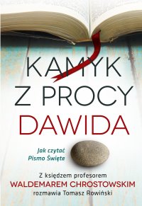 Kamyk z procy Dawida. Jak czytać Pismo Święte - prof. Waldemar Chrostowski - ebook
