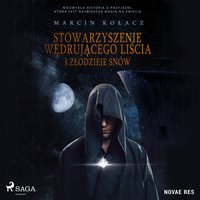 Stowarzyszenie wędrującego liścia i złodzieje snów - Marcin Kolacz - audiobook
