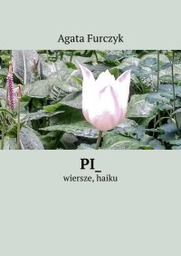 Pi_ - Agata Furczyk - ebook