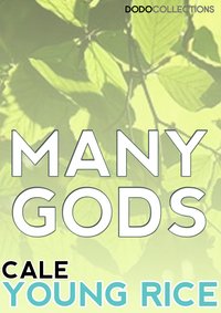 Many Gods - Cale Young Rice - ebook