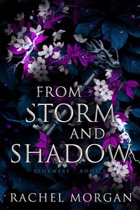From Storm and Shadow - Rachel Morgan - ebook