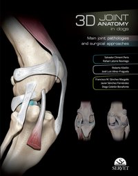 3D Joint anatomy in dogs - Salvador Climent - ebook