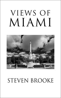 Views of Miami - Steven Brooke - ebook