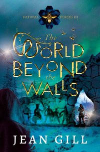 The World Beyond the Walls - Jean Gill - ebook