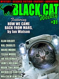Black Cat Weekly #31 - Wildside Press - ebook