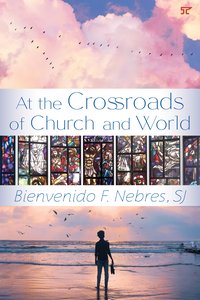 At the Crossroads of Church and World - Bienvenido F. Nebres - ebook