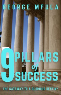 9 Pillars of Success - George Mfula - ebook