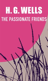 The Passionate Friends - H. G. Wells - ebook