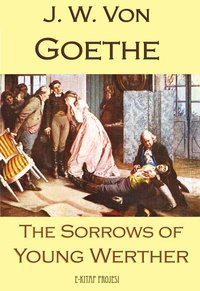 The Sorrows of Young Werther - J. W. Von Goethe - ebook