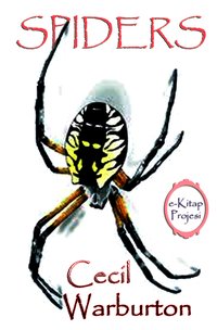 Spiders - Cecil Warburton - ebook