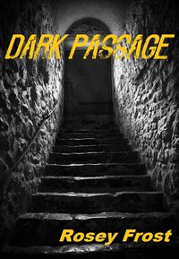 Dark Passage - Rosey Frost - ebook
