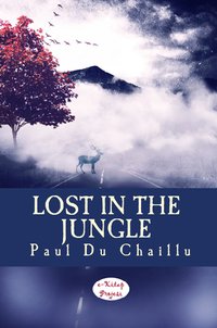 Lost in the Jungle - Paul du Chaillu - ebook