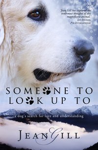 Someone To Look Up To - Jean Gill - ebook