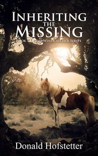 Inheriting the Missing - Donald Hofstetter - ebook